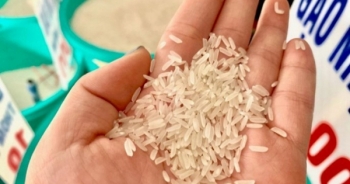 Tin kinh tế 6AM: Quán quân ngon nhất thế giới của Việt Nam 