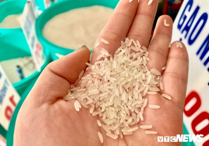 Gạo ST25 của Việt Nam vinh dự được trao giải gạo ngon nhất thế giới tại cuộc thi World's Best Rice.