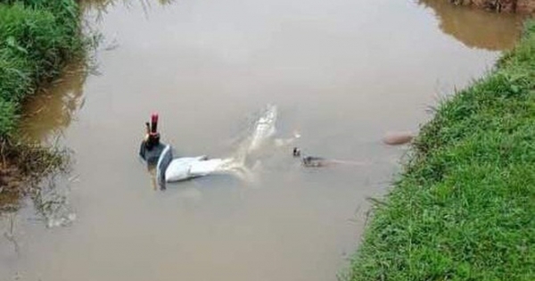 Bàng hoàng phát hiện thi thể người đàn ông dưới mương nước