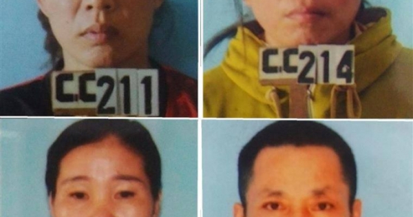 Chỉ vì mâu thuẫn chăn thả trâu bò, vác dao chặt gần 1.000 gốc keo