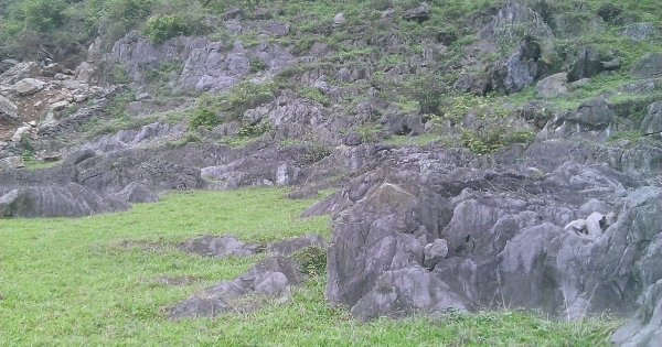 Bỉm Sơn – Thanh Hóa: Cho rằng bị truy tố oan sai, cựu bí thư phường kêu cứu.