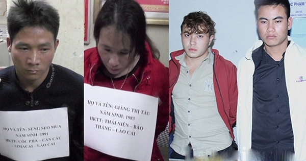 Lào Cai: Triệt phá đường dây buôn bán 62.000 viên ma túy tổng hợp