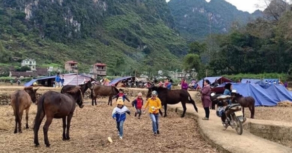 Cao Bằng: Sơ tán 334 hộ dân ra khỏi vùng ảnh hưởng bởi động đất