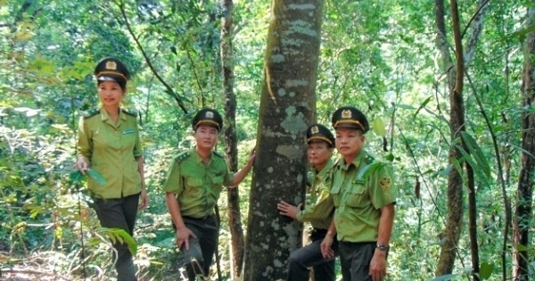 “Sơn nữ” giữ rừng Tây Yên Tử