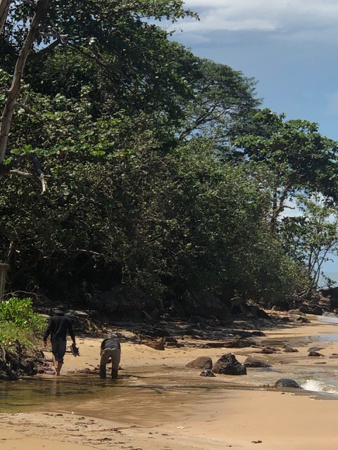 Hiện trạng hoang h&oacute;a dự &aacute;n &ldquo;Bảo tồn cổ vật Kết hợp du lịch sinh th&aacute;i&rdquo; của Cty ĐAD.