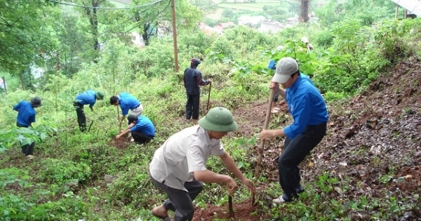 Chuyển mục đích sử dụng rừng để thực hiện dự án hồ chứa nước