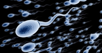 Tại sao nam giới ngày càng yếu?