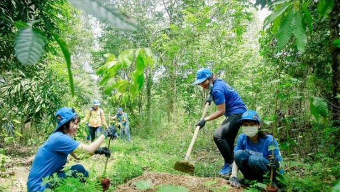 Đẩy mạnh trồng rừng cũng là gìn giữ, bảo vệ môi trường sống của con người. (Ảnh minh họa)