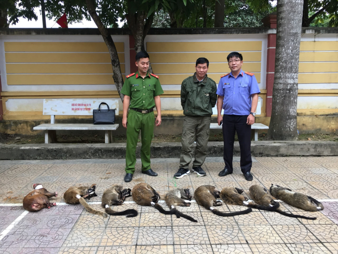 124175062_1286355015044861_8517861443257870847_n