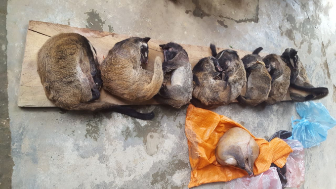 124951382_719423565595221_3483345667514695412_n