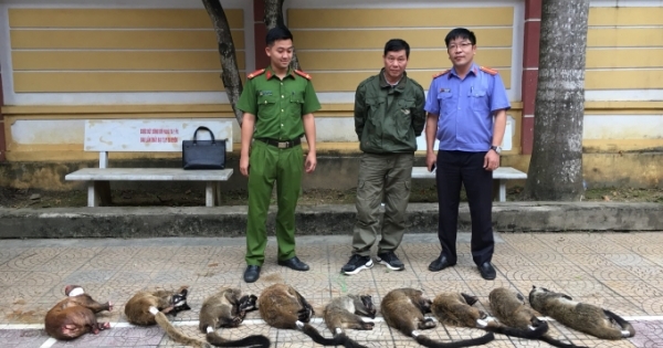 Bị bắt khi mua động vật quý hiếm về làm tiệc cưới