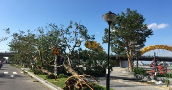 Đà Nẵng: Học sinh nghỉ học để phòng, chống cơn bão số 13