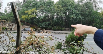 Sau một đêm có 35 tỷ, ông lão 83 tuổi gặp họa lớn