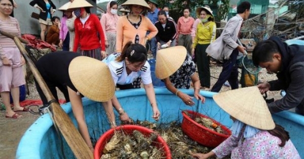 Sống chung với thiên tai