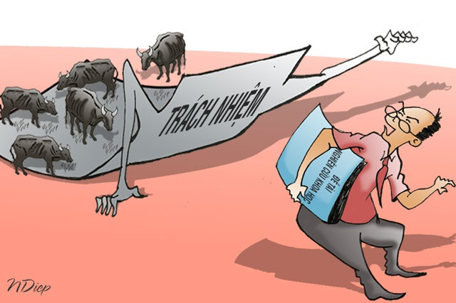 trachnhiemdanbo-1605472433357