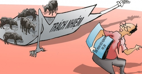 “Lời khẩn cầu” của đàn bò tót:  Các tiến sĩ ơi, xin thôi đừng nghiên cứu!