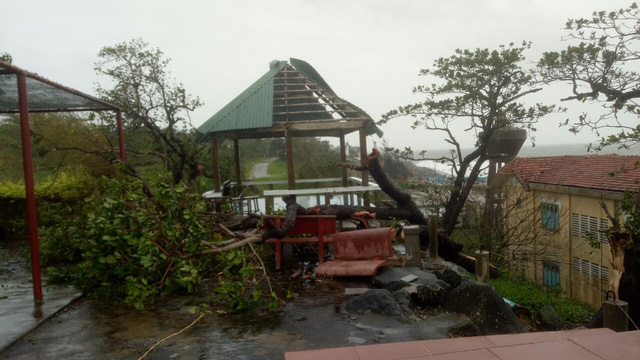 b1-1605487282863294250937