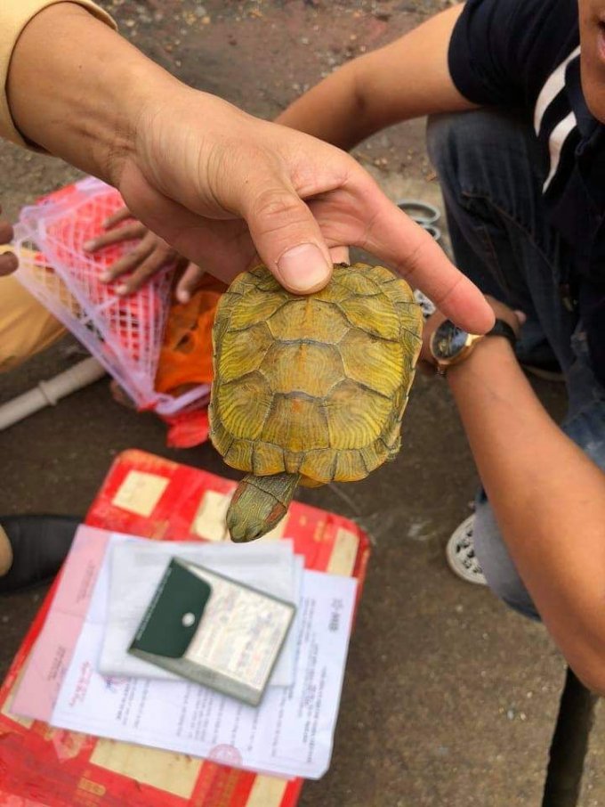 125310206_382044516247098_8204822198140355141_n