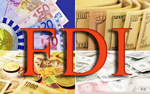 Doanh nghiệp FDI l&agrave; g&igrave;?