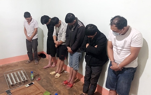 7 đối tượng thuê nhà để hành nghề trộm chó