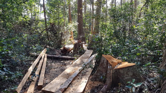 126056286_404090250716896_4991030877412295278_n