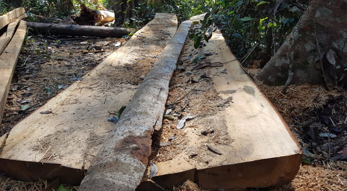 126259119_1570079539854256_4319613212111882174_n