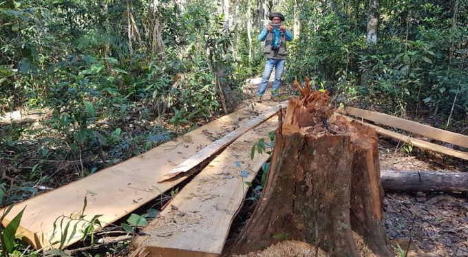 127237481_2442854869357167_6439605134858239466_n