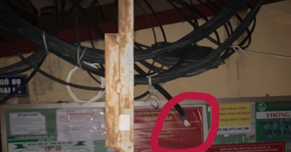 Hải Phòng: Bắt quả tang đối tượng đang trộm cắp 2 dây cáp điện trung tính