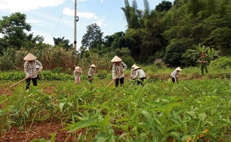 Nữ tử tù phải được khám thai trước khi tử hình