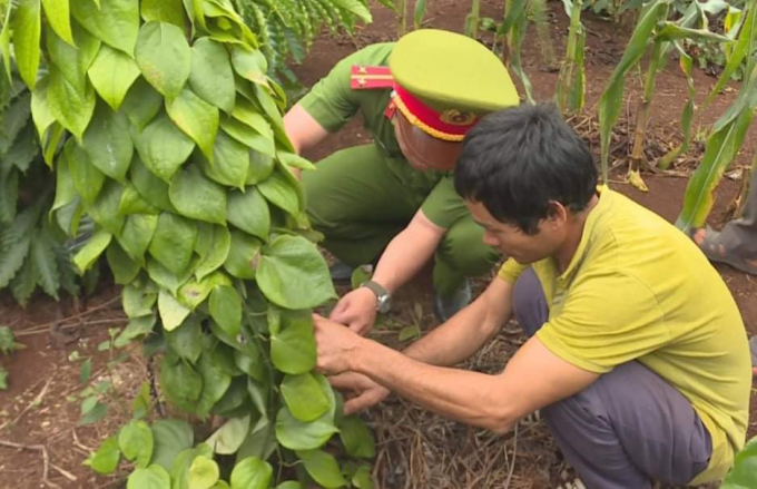 received_213869203512059.