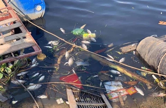 Sông Cầu ô nhiễm, tỉnh Bắc Giang đề nghị Bộ TN&amp;amp;MT cùng tỉnh Bắc Ninh xử lý nghiêm hành vi xả thải