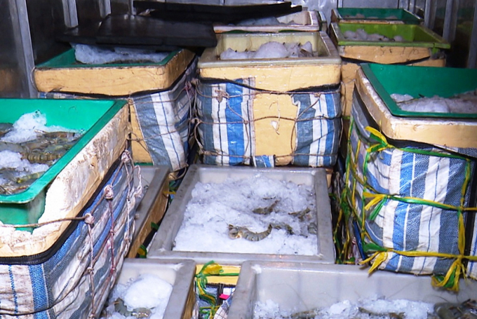 4.11- Tom Tap Chat 1