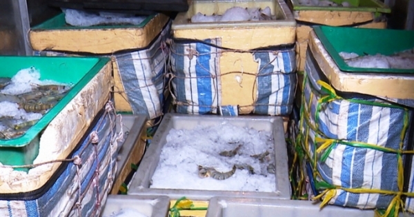 Bạc Liêu bắt giữ gần 1 tấn tôm chứa tạp chất đang trên đường tiêu thụ