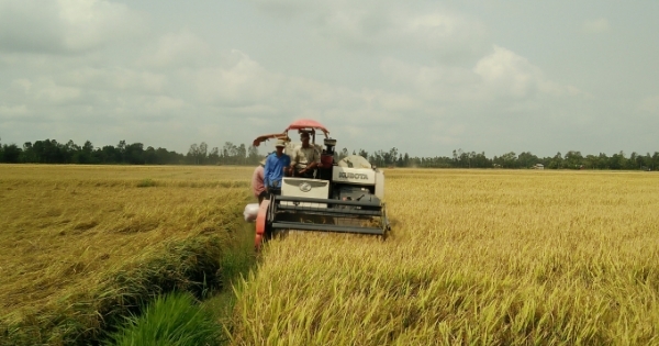 ĐBQH Trần Thị Thanh Hương: Cần có giải pháp hạ giá phân bón