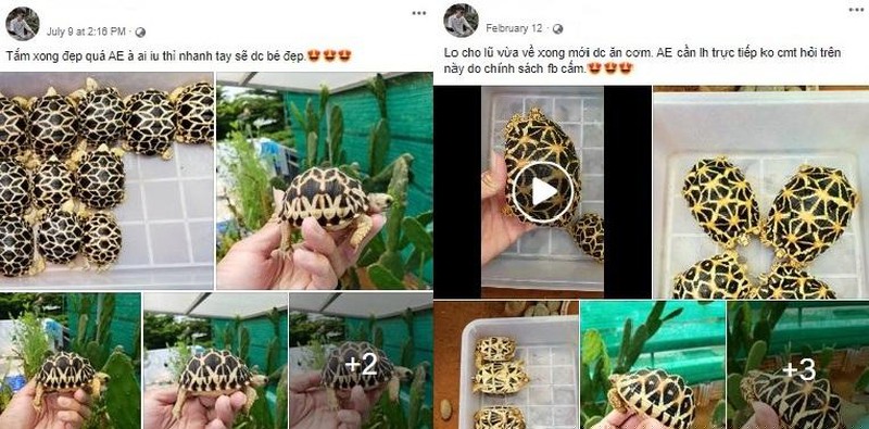 Đối tượng thường xuy&ecirc;n đăng tải h&igrave;nh ảnh, video rao b&aacute;n r&ugrave;a tr&ecirc;n Facebook