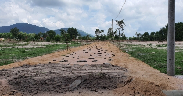 Tỉnh Bà Rịa - Vũng Tàu xử phạt Công ty CP Phát triển đầu tư xây dựng Phú Mỹ