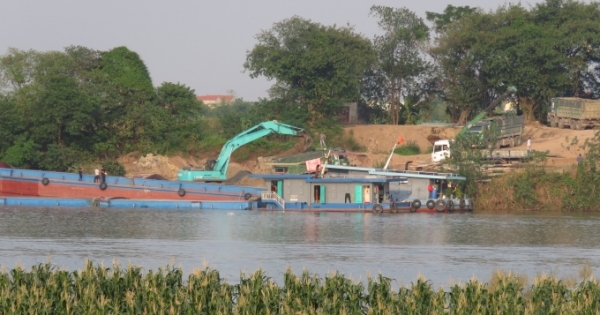 Huyện Khoái Châu cần xử lý nghiêm vi phạm luật đê điều