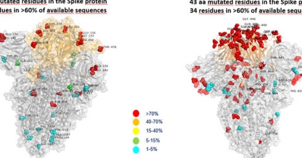 Việt Nam giám sát dịch tễ virus SARS-CoV-2 ngăn chặn biến chủng Omicron