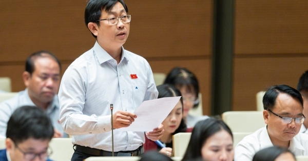 Cần đánh thuế cao đối với những diện tích đất không sử dụng