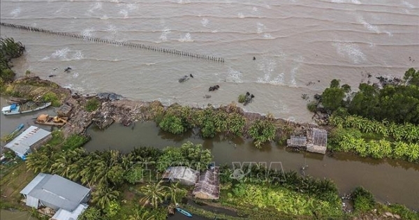 Tăng trưởng tín dụng xanh thúc đẩy Đồng bằng sông Cửu Long phát triển bền vững