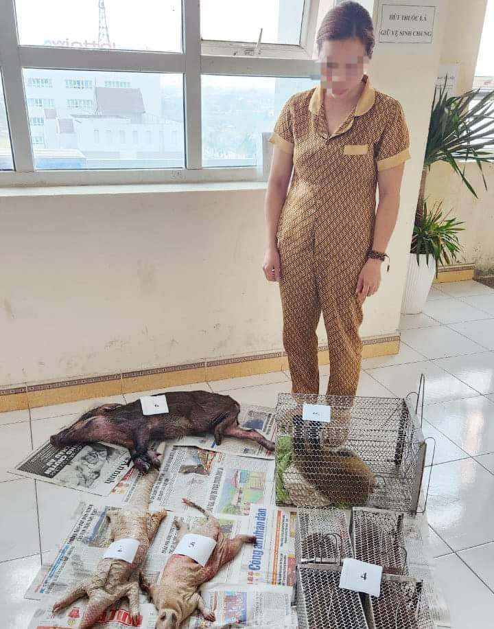 313514294_691029569403974_5696034611716450807_n