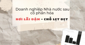 Doanh nghiệp Nhà nước sau cổ phần hóa, nơi lãi đậm - chỗ lẹt đẹt