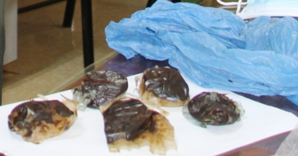 Lào Cai: Công an Văn Bàn liên tiếp triệt phá 3 vụ mua bán trái phép chất ma túy