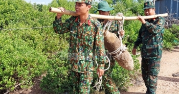 Thu gom, xử lý quả bom 112,5kg còn nguyên ngòi nổ