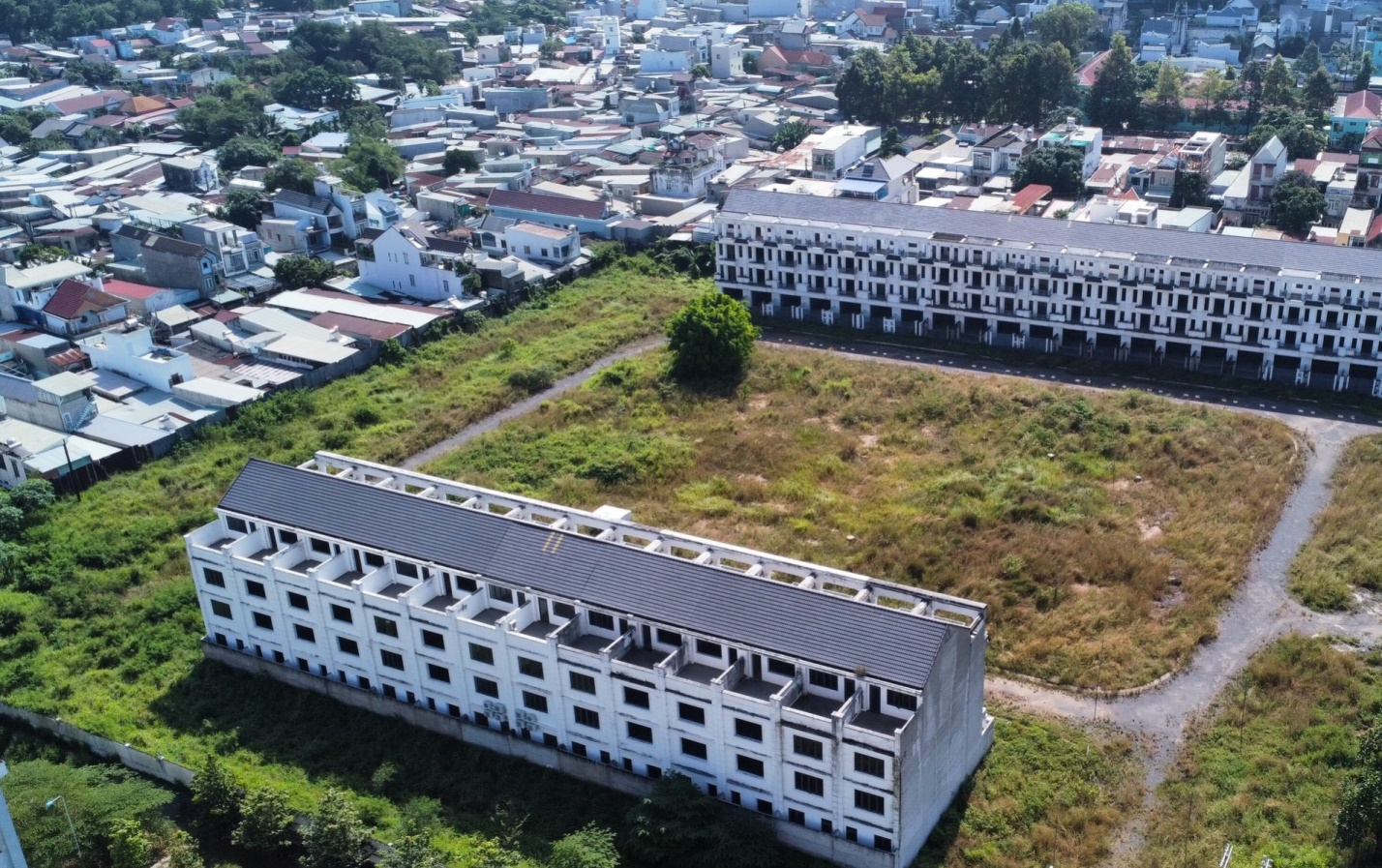 Cỏ mọc kín lối tại khu dân cư Bình Đa. Ảnh : Thiên Phúc