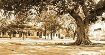 Người thầy trong xã hội xưa và nay