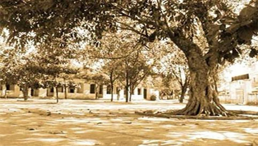 Mái trường là nơi biết bao thế hệ học trò đã khôn lớn trưởng thành. (Ảnh sưu tầm)