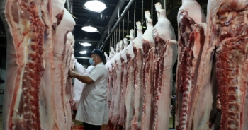 Nghiên cứu phản ánh liên quan đến vấn đề xuất khẩu thịt lợn