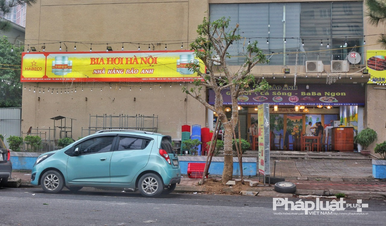 e823d389138ecad0939f