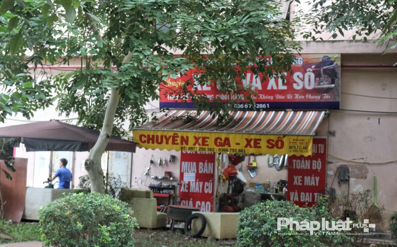 71341b06b57a6c24356b5